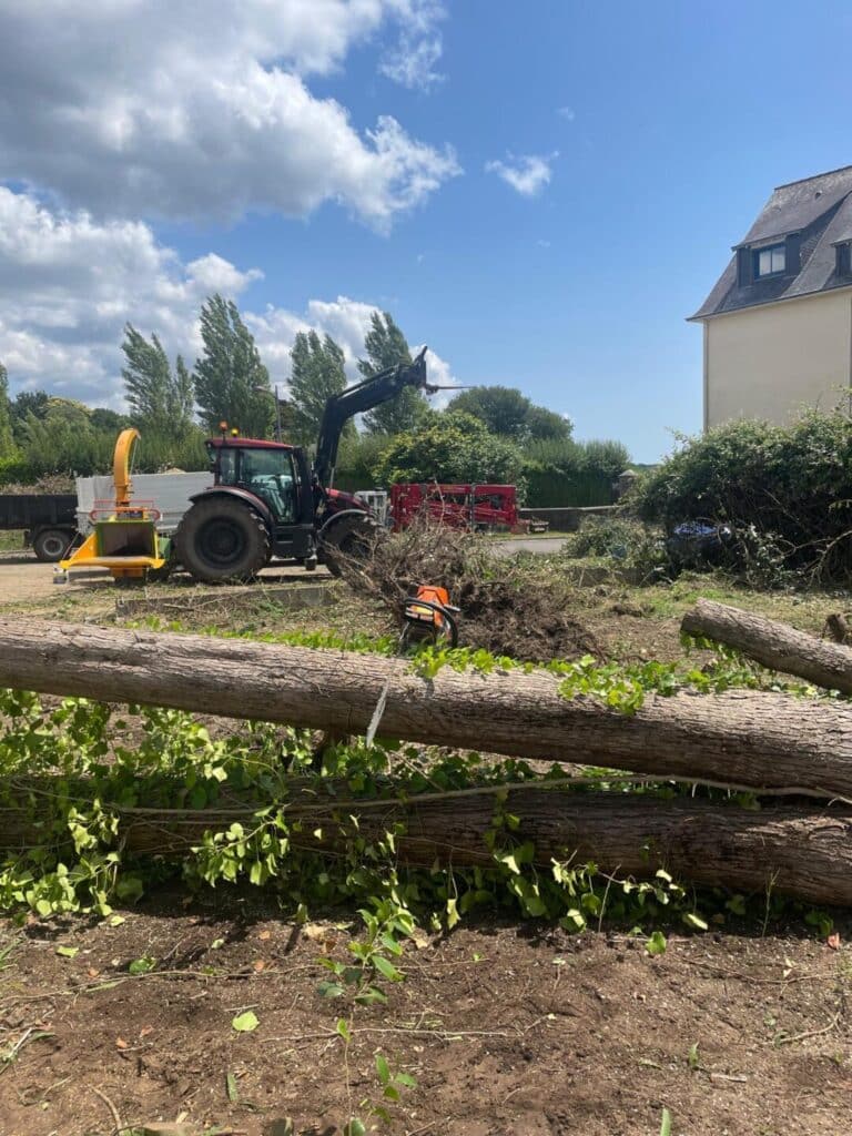 Élagage, Abattage, Démontage d’arbre 4