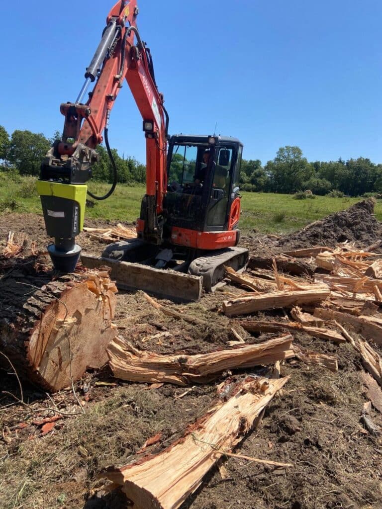 Élagage, Abattage, Démontage d’arbre 5