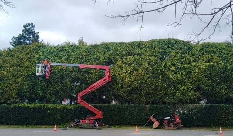 Nacelle Araignee et Porte Outil Toro dingo - Quimper Concarneau