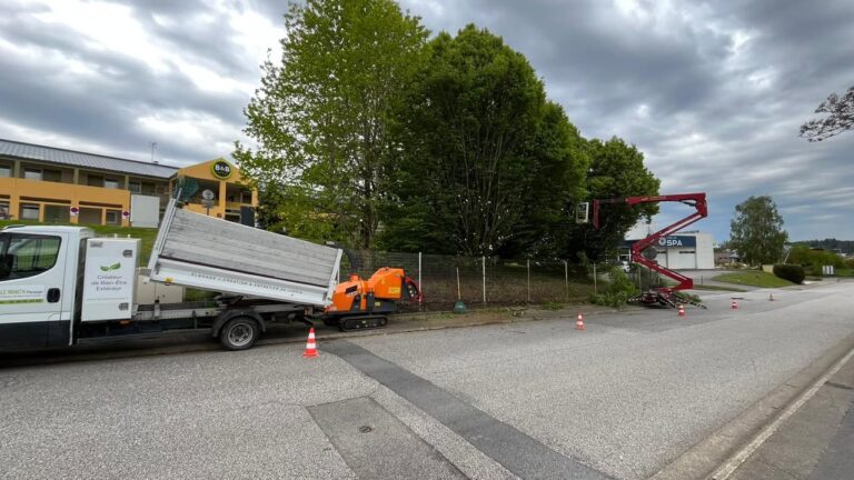 SARL LE NOACH PAYSAGE a Quimper Afin de limiter le 1 1603404658453169 - Quimper Concarneau SARL LE NOACH PAYSAGE a Quimper Afin de limiter le 1 1603404658453169 - Quimper Concarneau