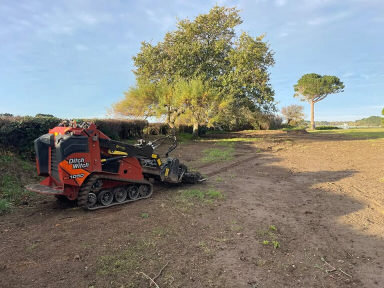 SARL LE NOACH PAYSAGE a Quimper Nouvelle acquisition de cet 1 1767480425378924 - Quimper Concarneau SARL LE NOACH PAYSAGE a Quimper Nouvelle acquisition de cet 1 1767480425378924 - Quimper Concarneau